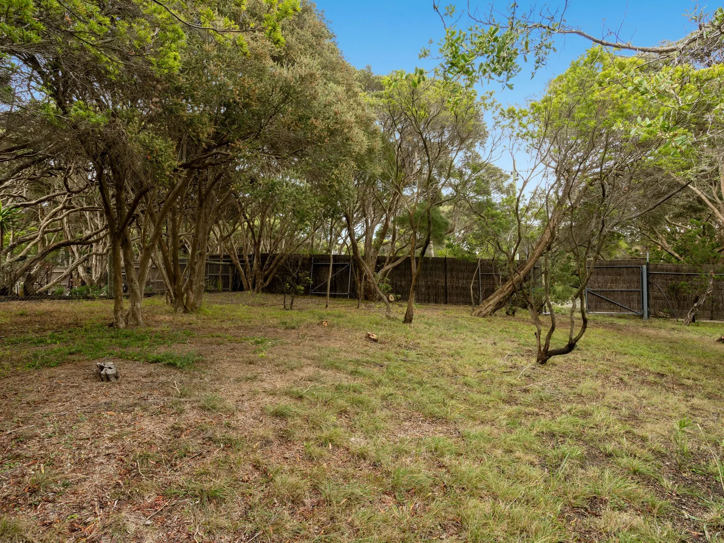 Additional image 16 of 3 Lillian Street, Rye VIC 3941