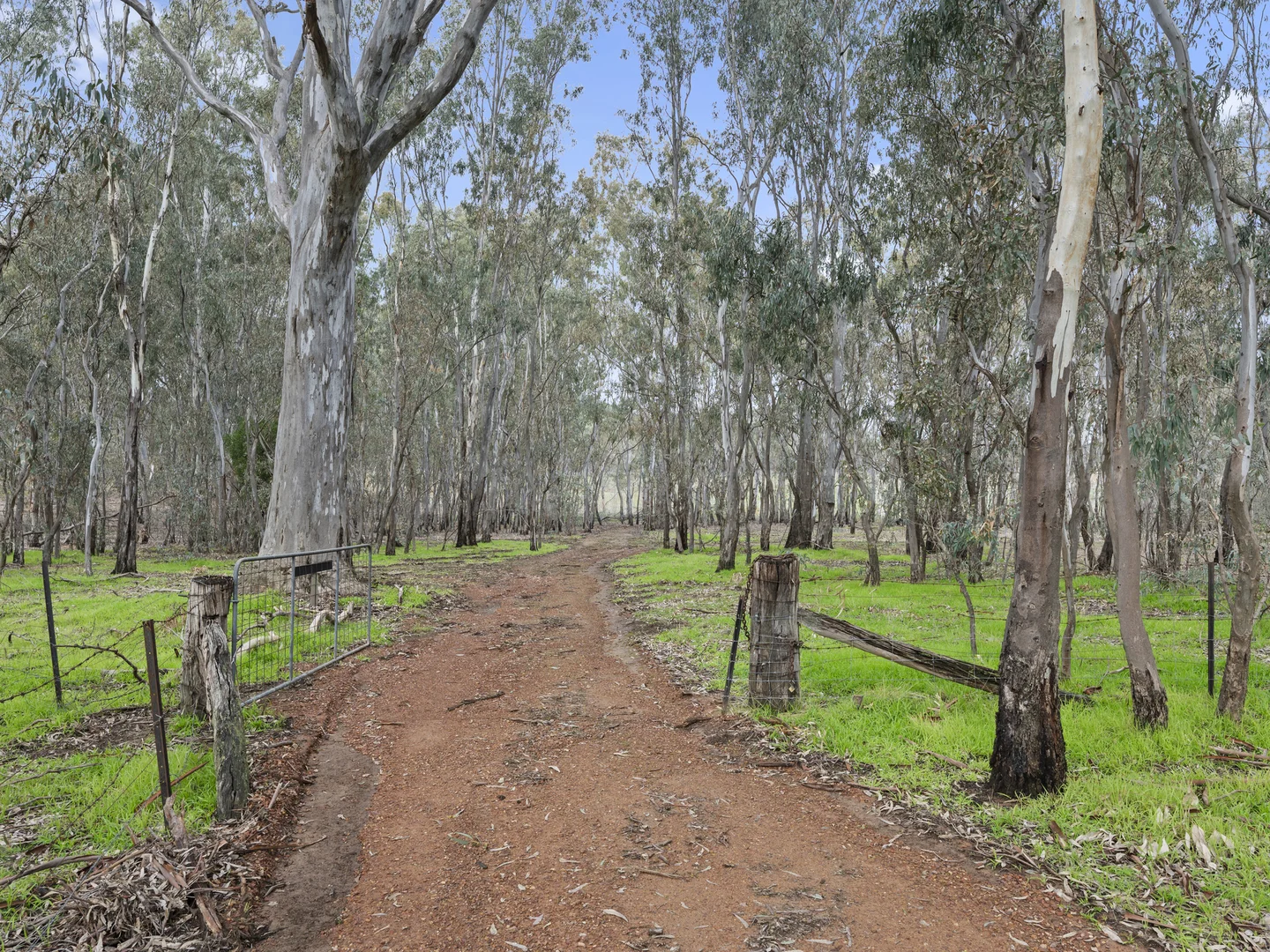 Image 14