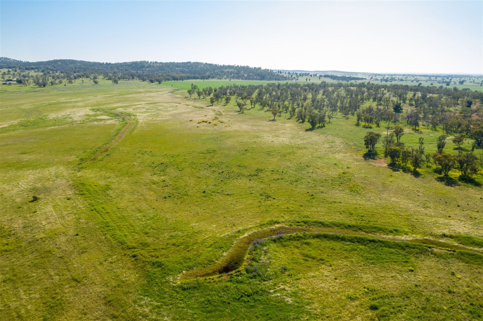 "Strathnoon"  & "Bodels", West Wyalong NSW 2671, Image 2