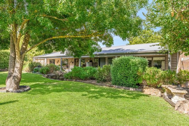 Picture of 5 Sheoak Place, WINCHELSEA VIC 3241