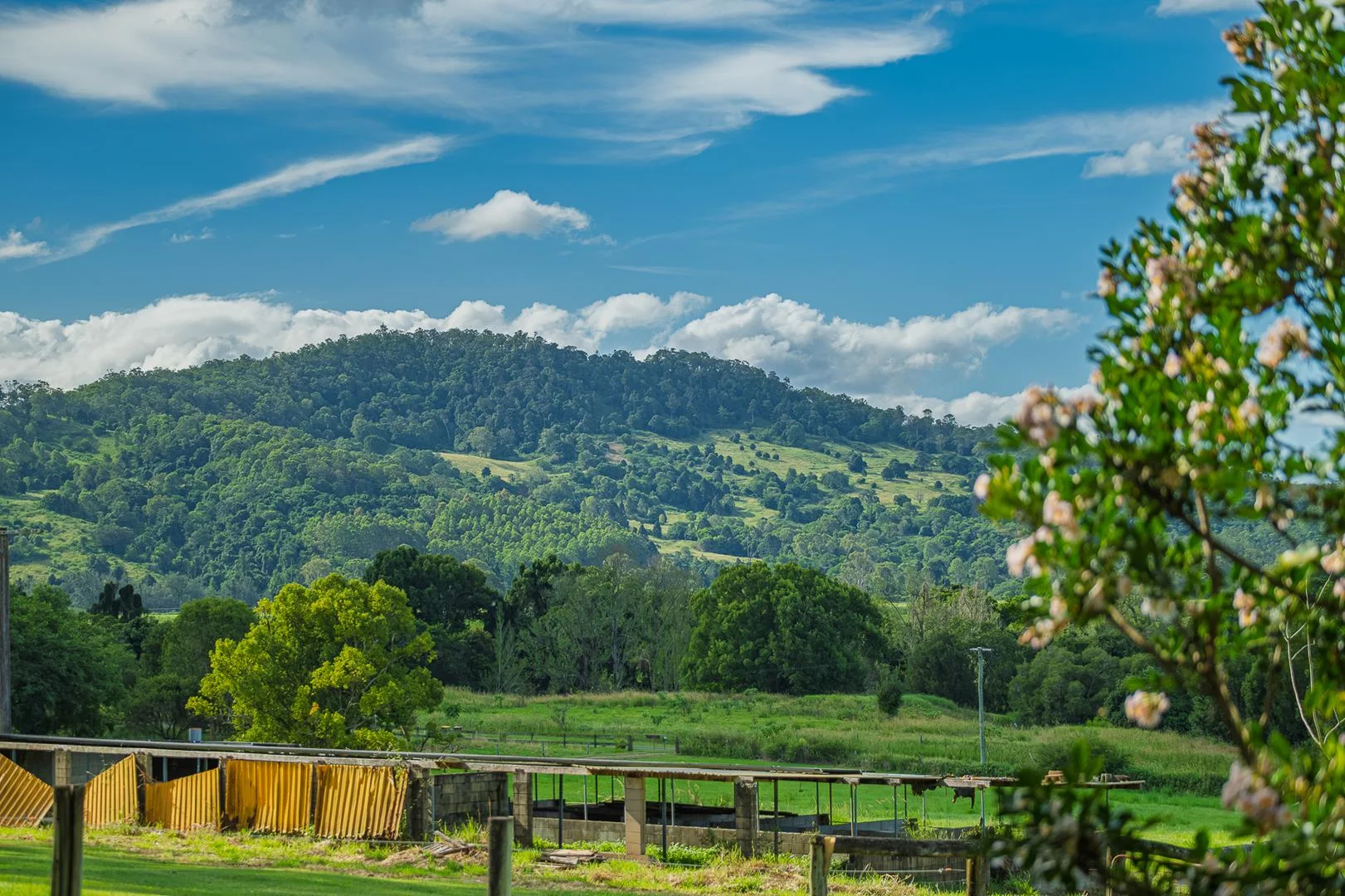 Additional image 54 of 40 McGinn Road, Gheerulla QLD 4574