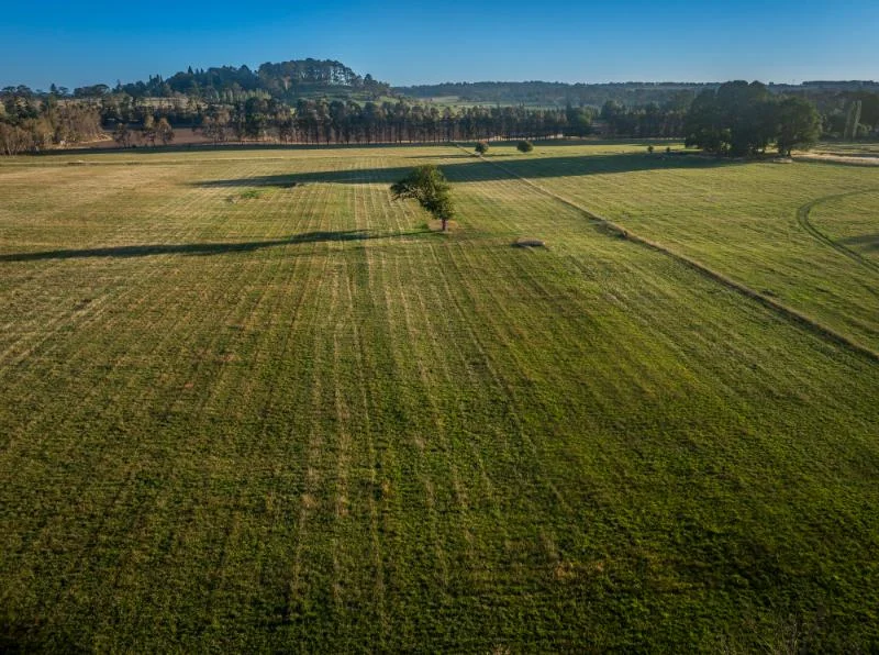 Additional image 7 of 7300 Illawarra Highway, Sutton Forest NSW 2577