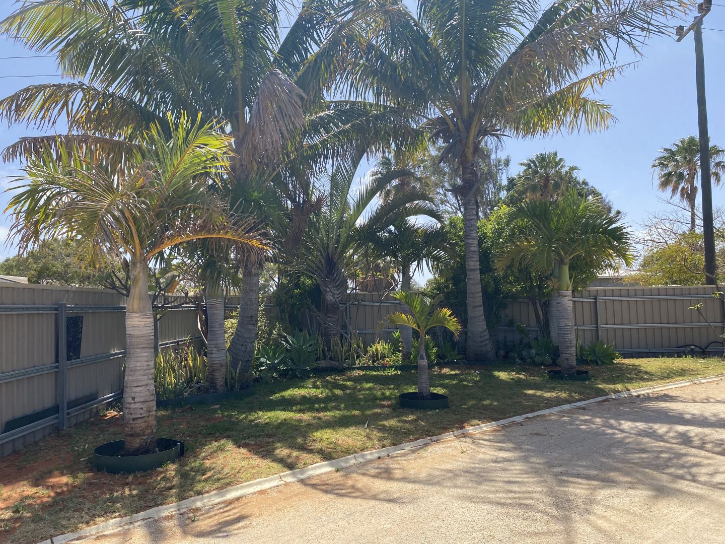 B/6 Pratt Court Morgantown WA 6701 Duplex For Rent $370 Domain