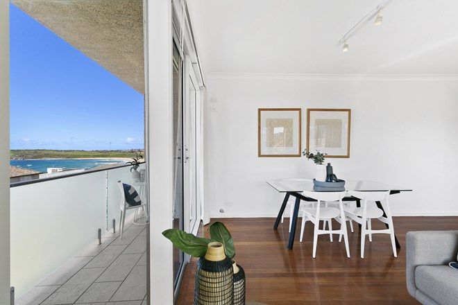 162 Real Estate Properties For Sale In Maroubra Nsw 2035 Domain