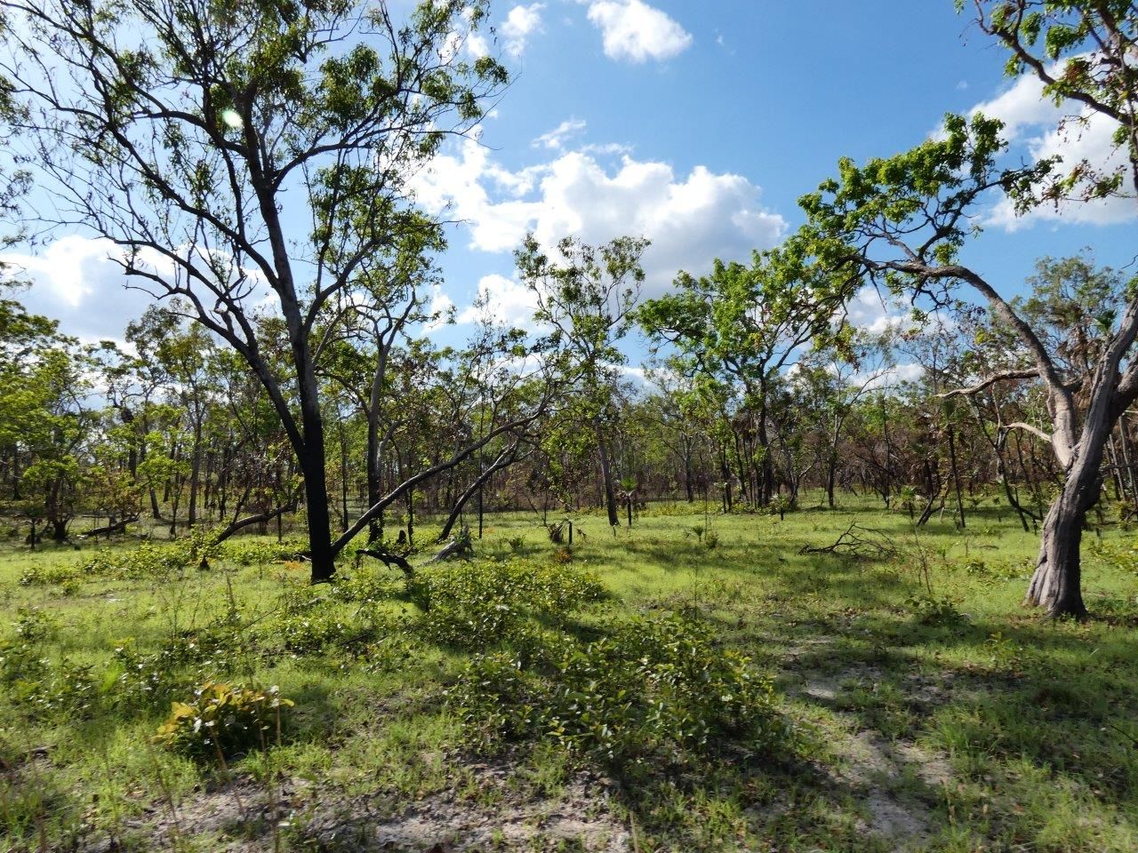 2513 Fog Bay Road, Charlotte NT 0822, Image 0