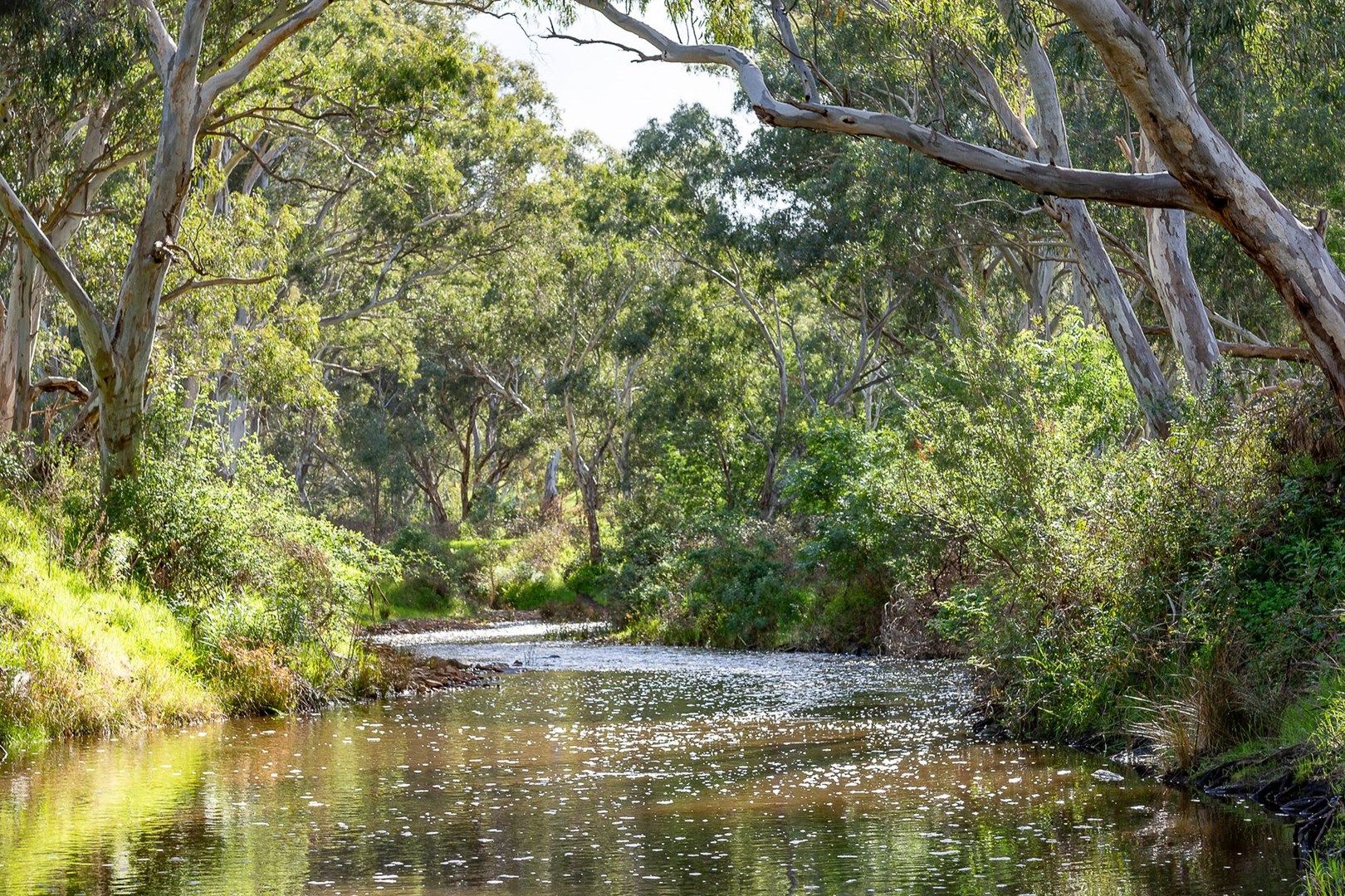 Lot 7 Bull Creek Road, Ashbourne SA 5157, Image 0