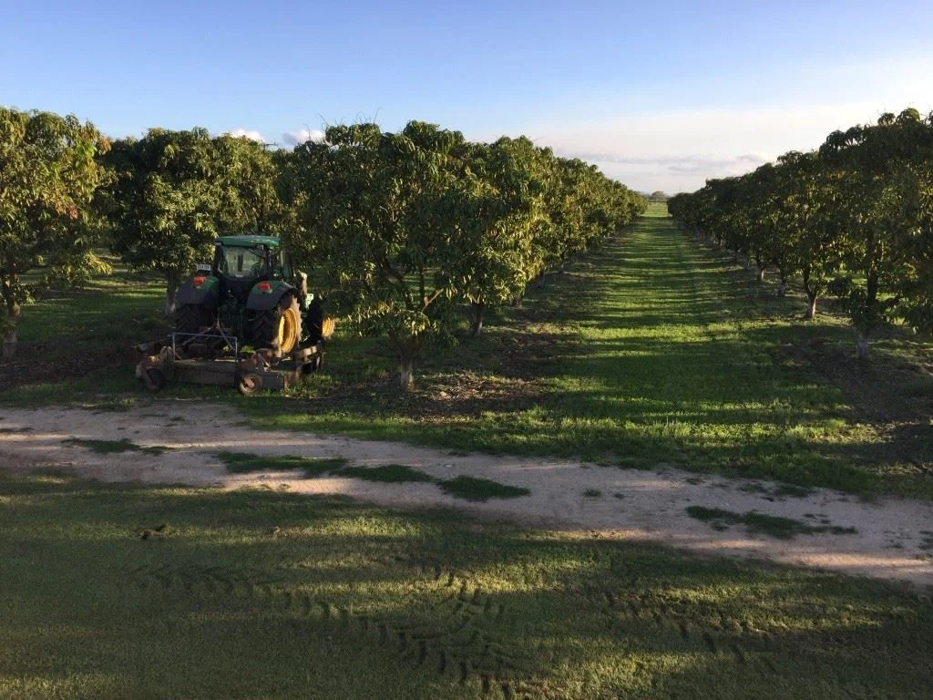 Additional image 7 of Bowen QLD 4805