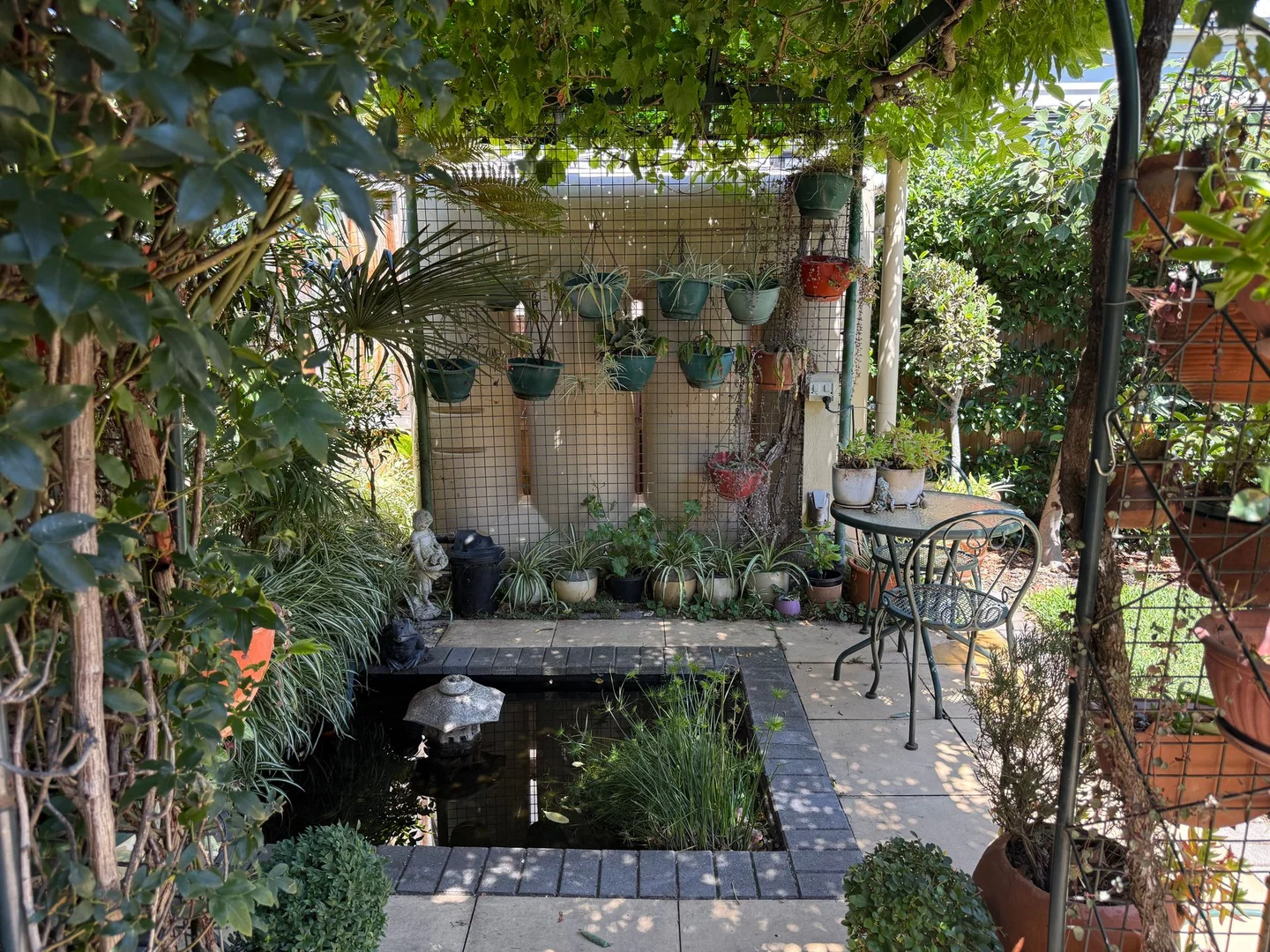Image 12