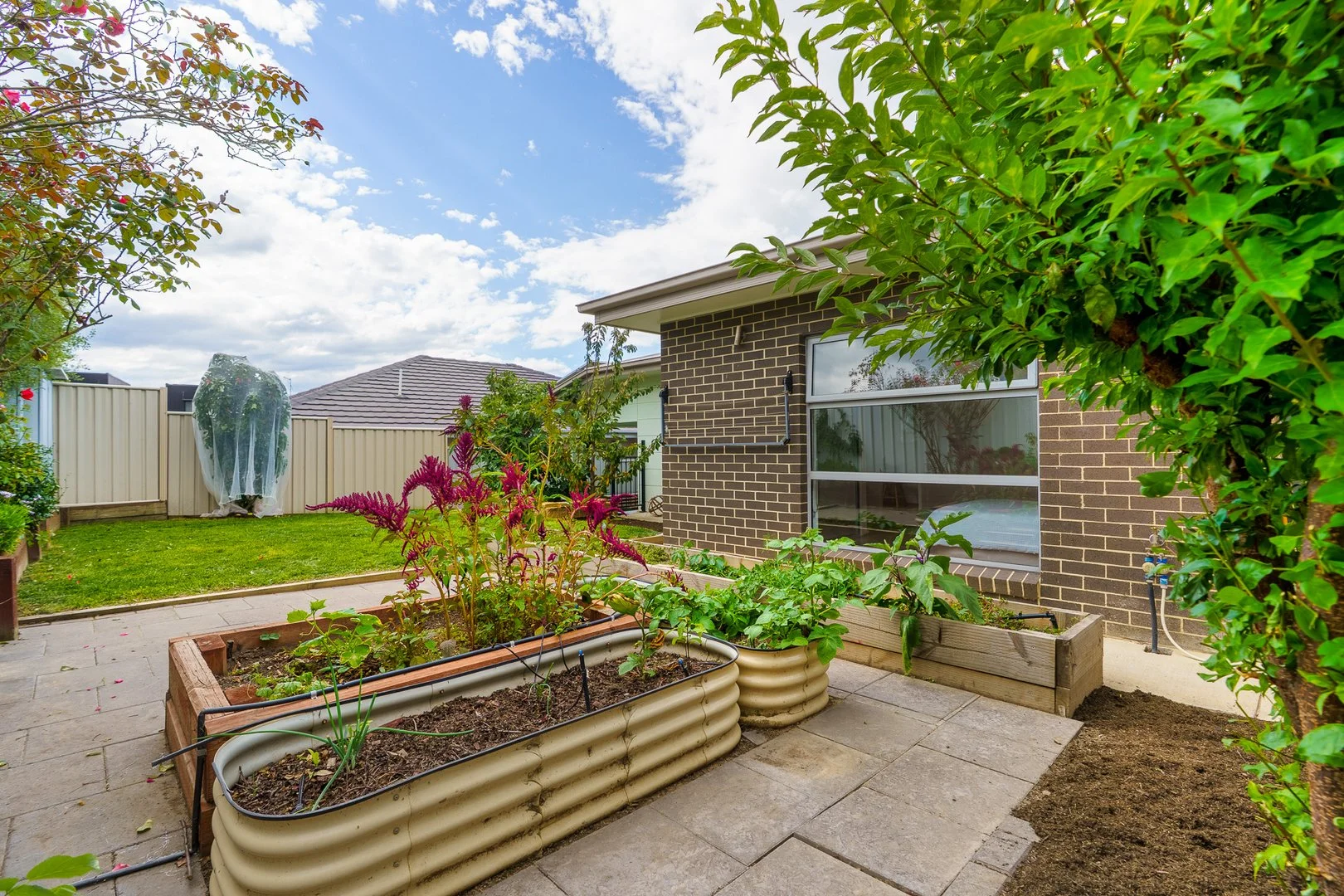 Additional image 4 of 10 Tycho Street, Moncrieff ACT 2914