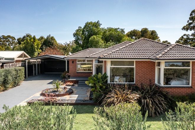 Picture of 6 Mount Barron Street, BALNARRING VIC 3926