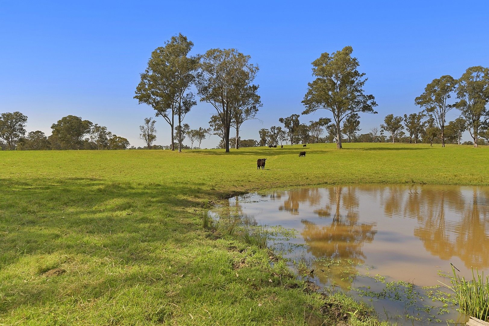 Lot 1, 2 & 3/35 Hadden Ridge Road, Wilberforce NSW 2756, Image 0