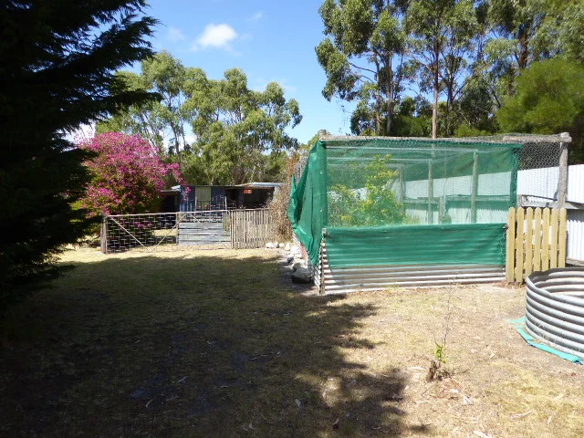 Image 34