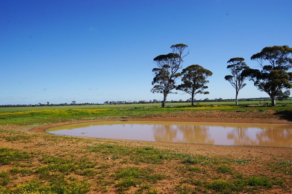 Lot 743 Grant Road, Bencubbin WA 6477, Image 2