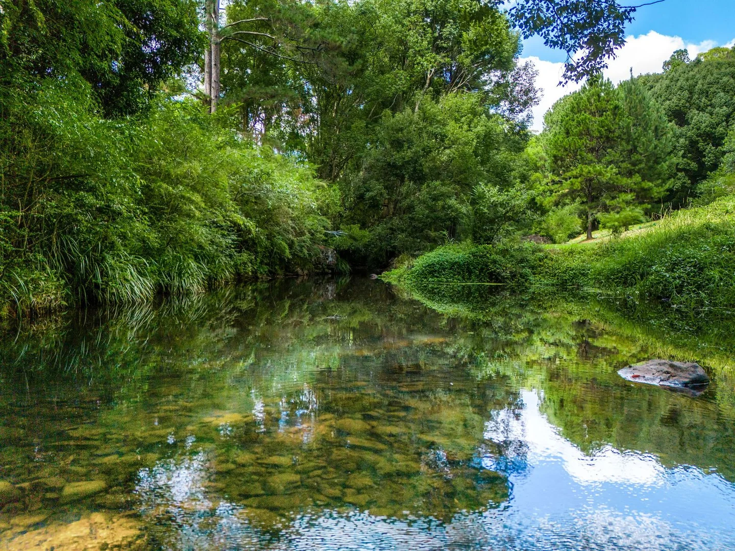 Additional image 7 of 20 Pine Mountain Road, Possum Creek NSW 2479