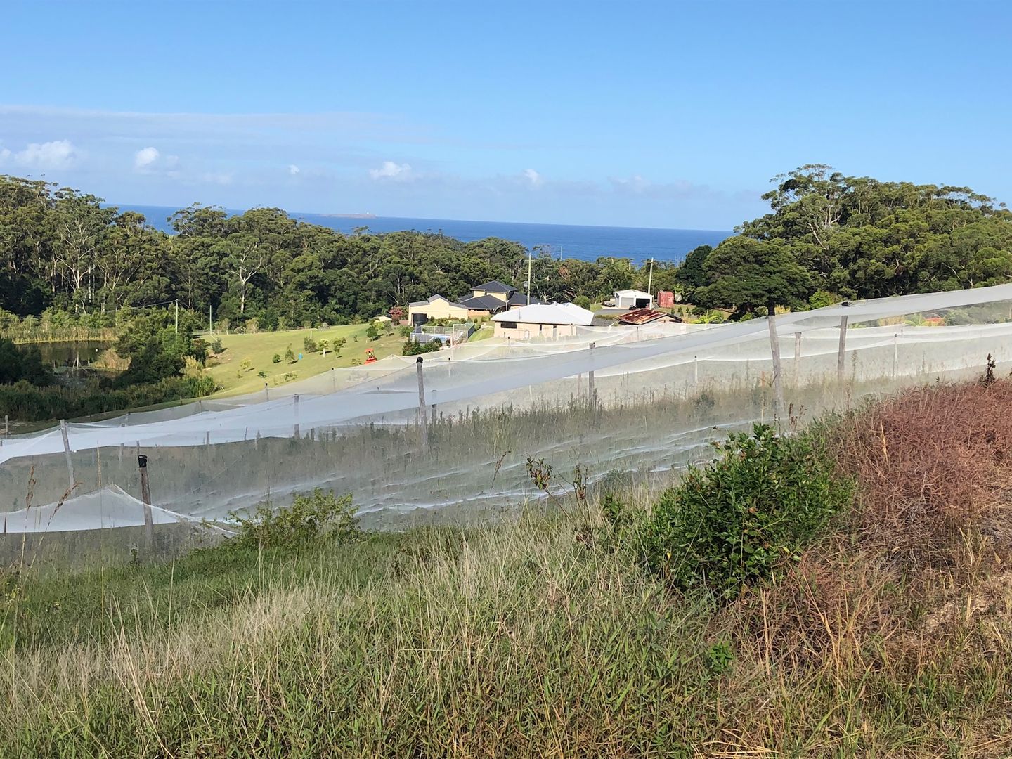 Lot 3 Old Coast Road Korora, Coffs Harbour NSW 2450, Image 1