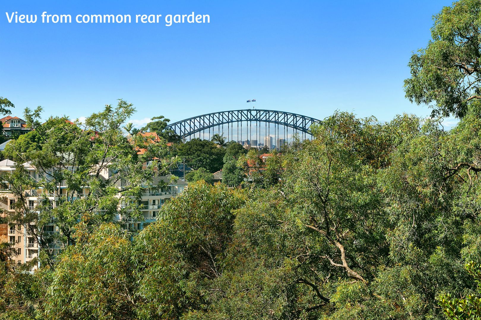 12/19 Shirley Road, Wollstonecraft NSW 2065, Image 2