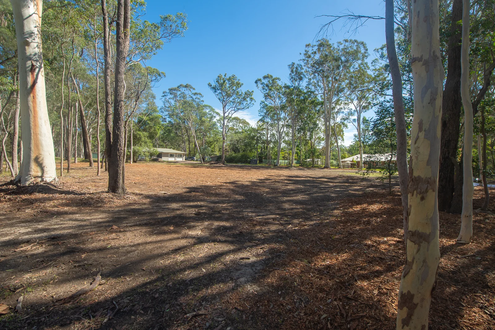 Additional image 11 of Lot 101, 49 Kula Rd, Medowie NSW 2318
