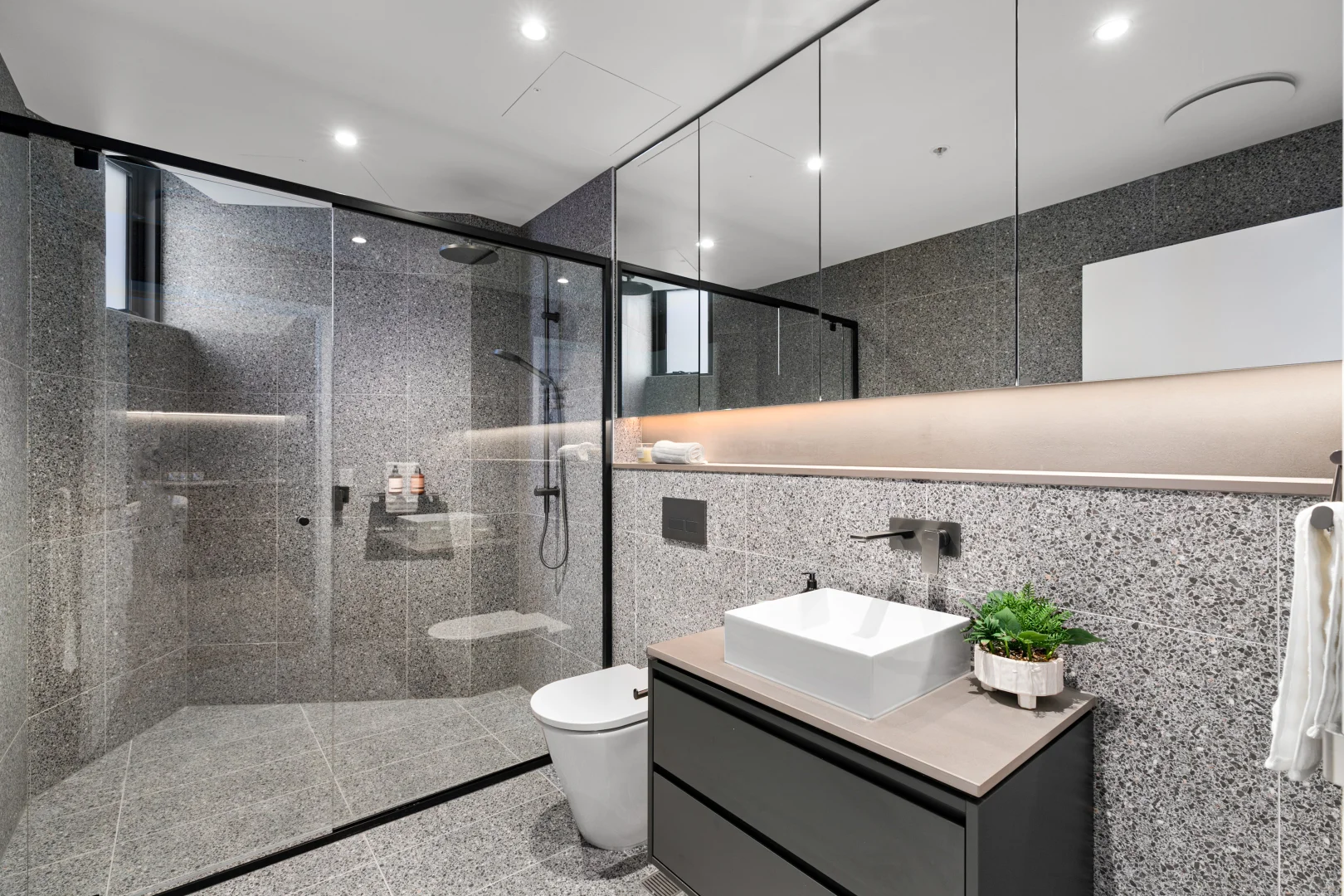 Additional image 6 of 1 + Study/116 Victoria Road, Gladesville NSW 2111