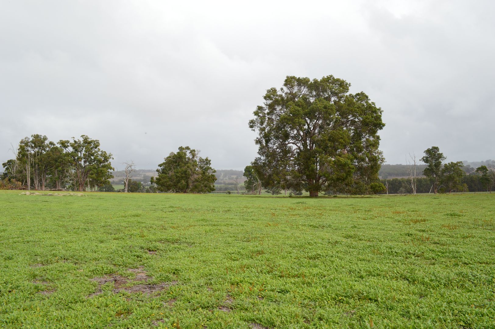 Rural in 3749 Asplin Siding Road, BOYUP BROOK WA, 6244