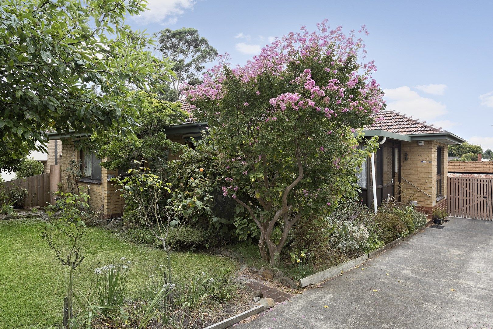 36 View Street, Clayton VIC 3168, Image 0