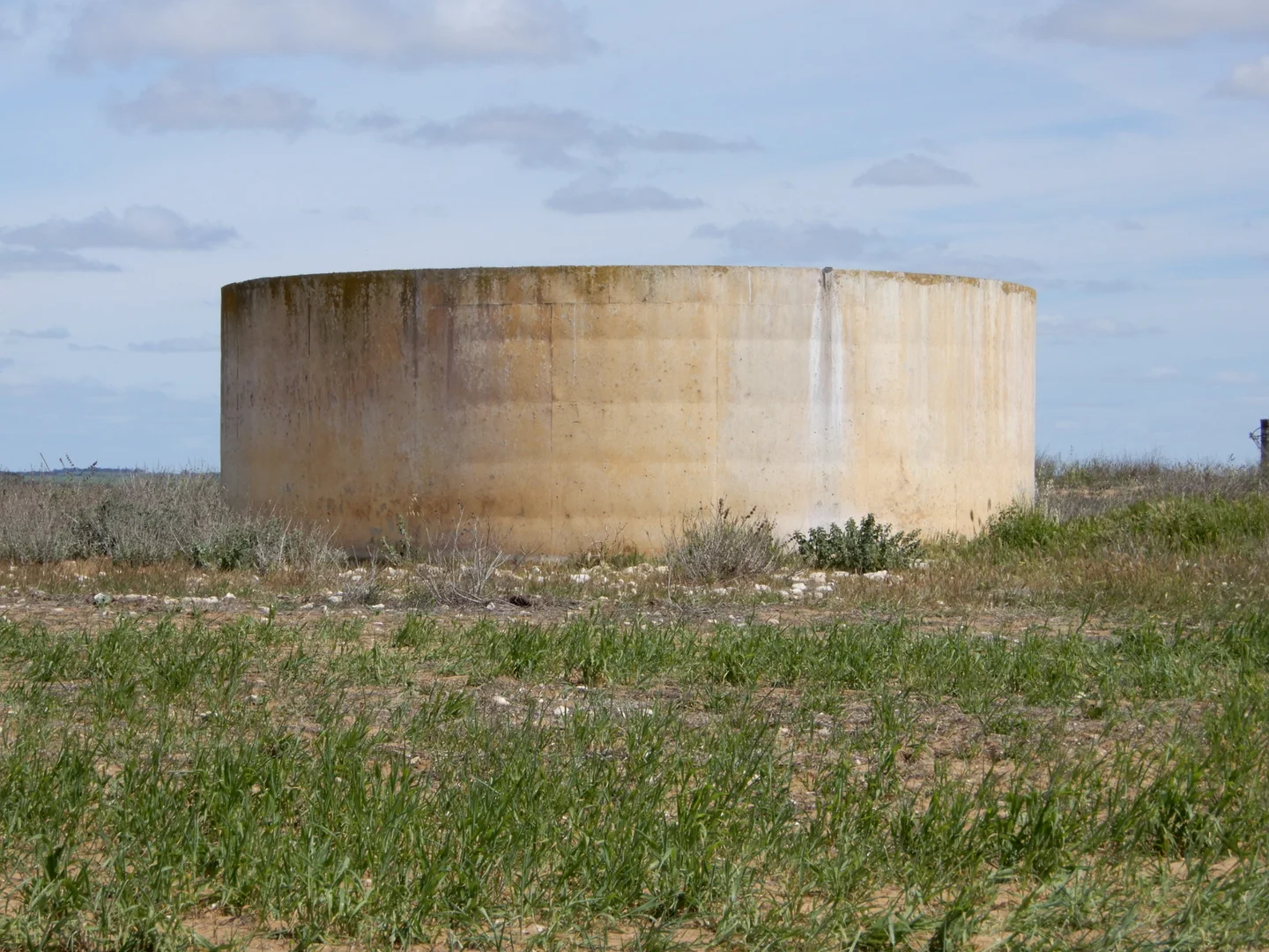 Image 13