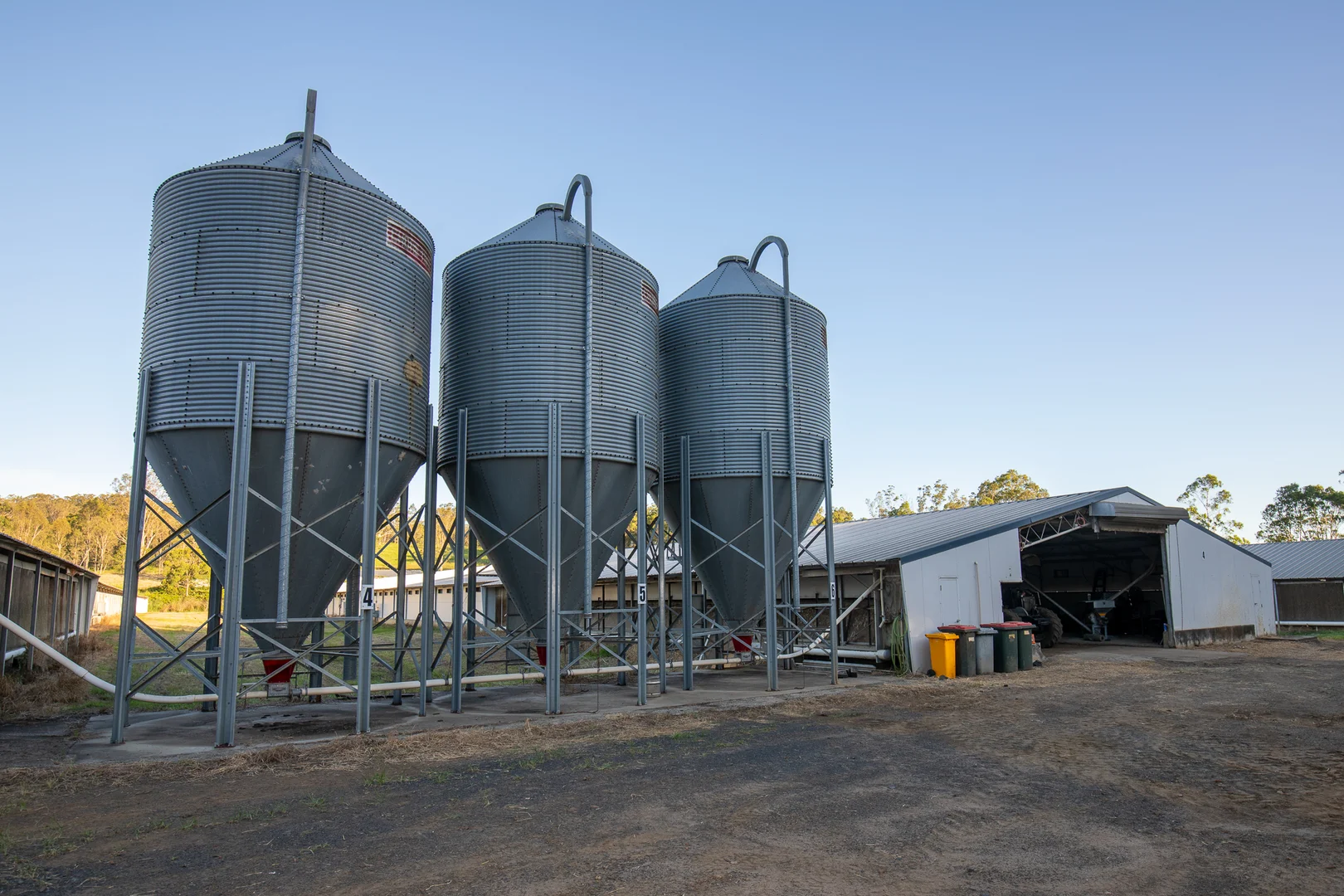 Image 12