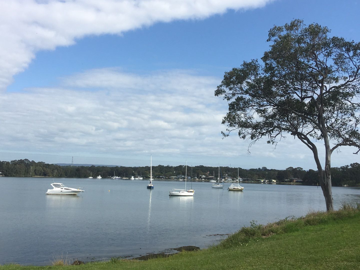 . Regent St, Bonnells Bay NSW 2264, Image 0