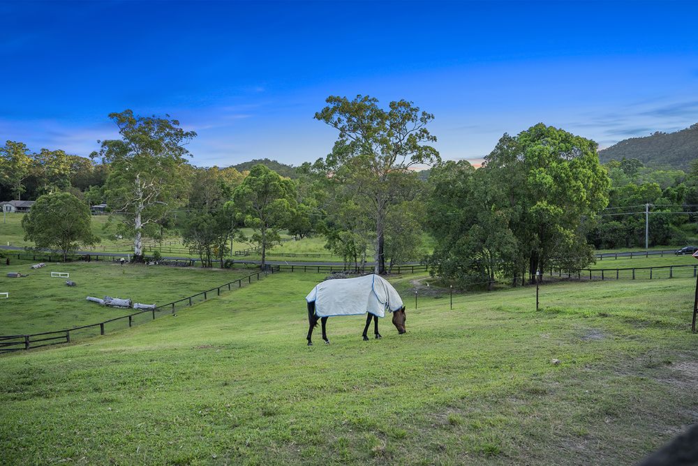 104 Whittings Road, Guanaba QLD 4210, Image 2