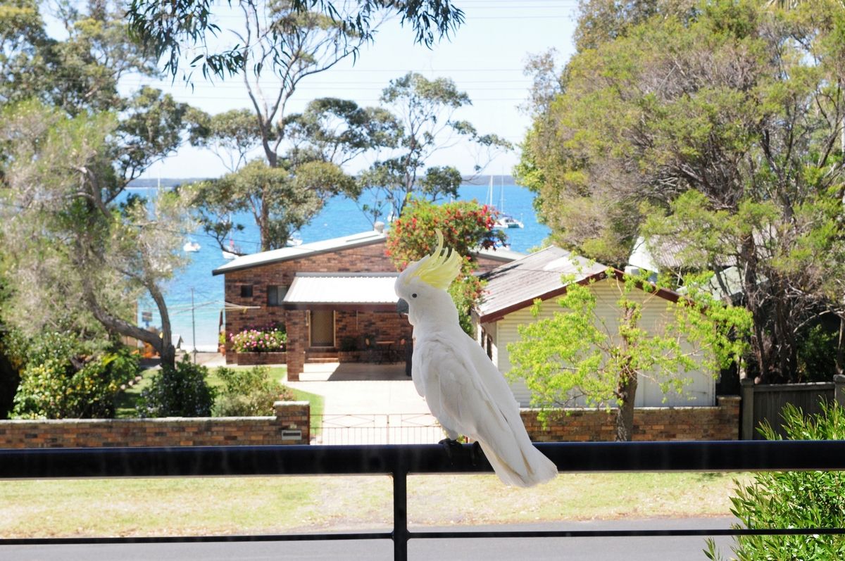 23 Boorawine Terrace, Callala Bay NSW 2540, Image 2