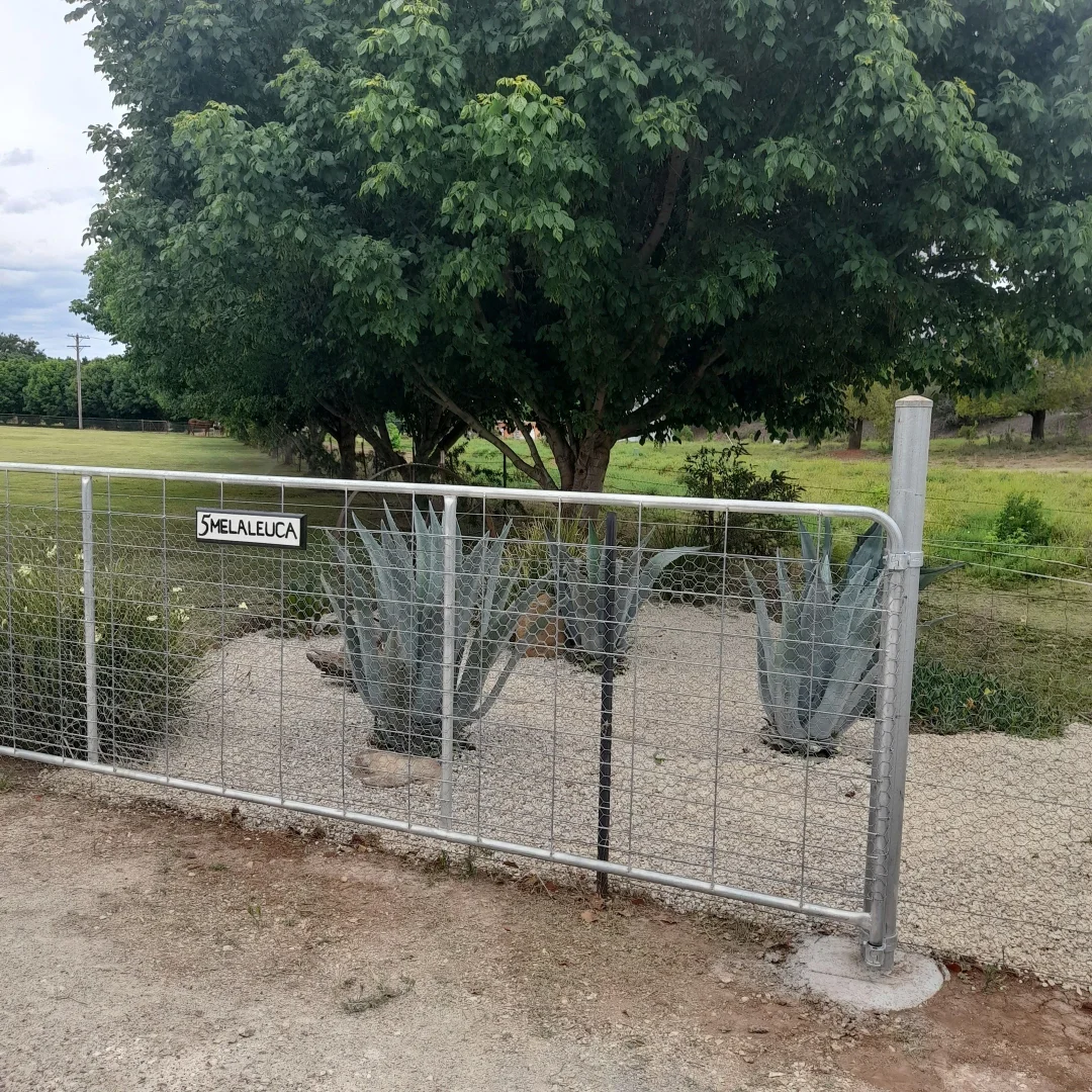 Image 11