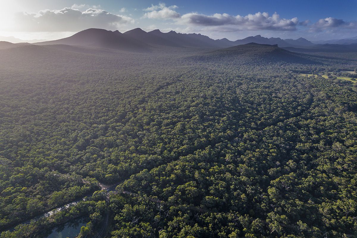 Grampians Road, Bornes Hill VIC 3379, Image 2