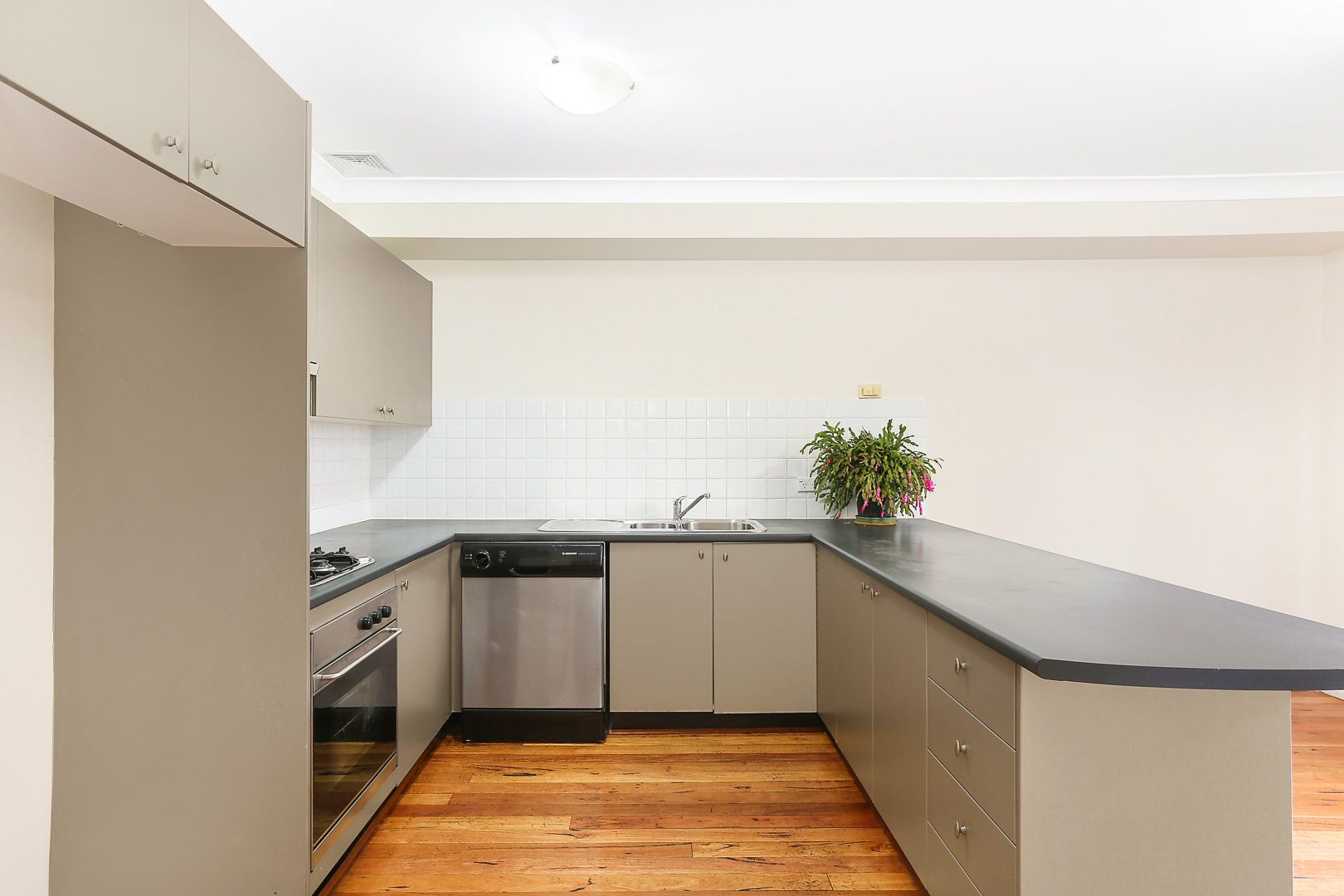 7/130 William Street, Leichhardt NSW 2040, Image 2