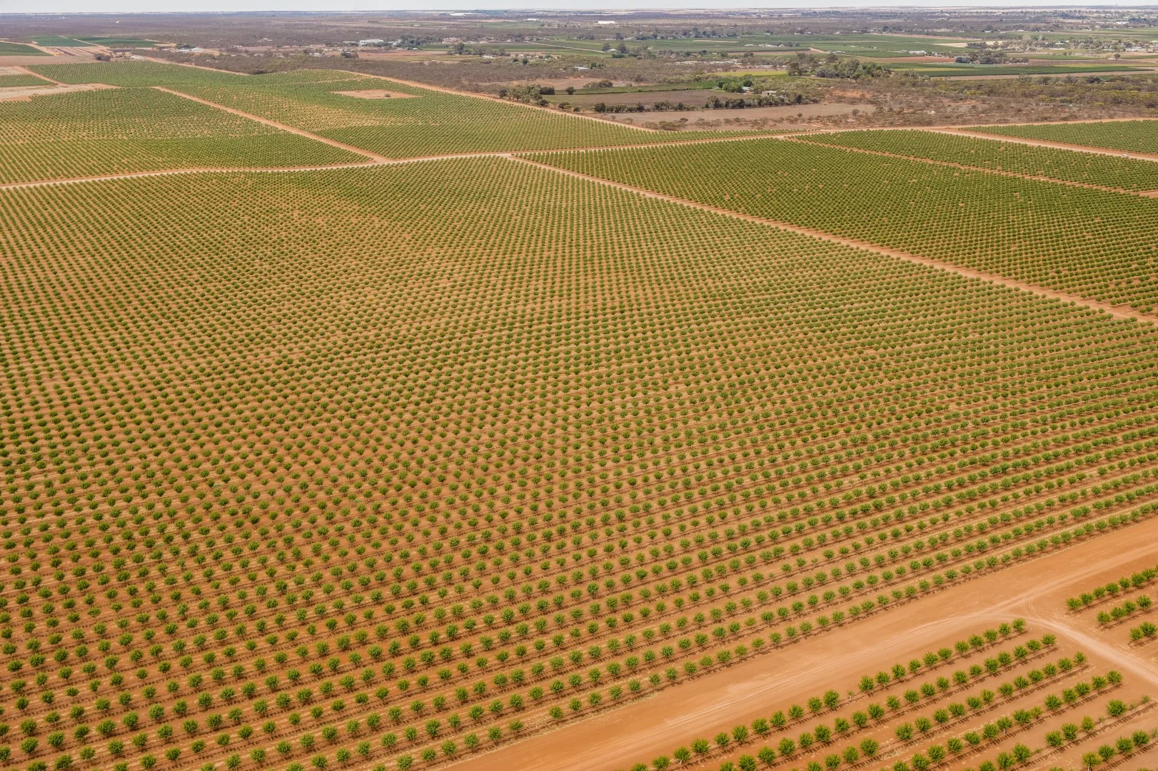 Image 16
