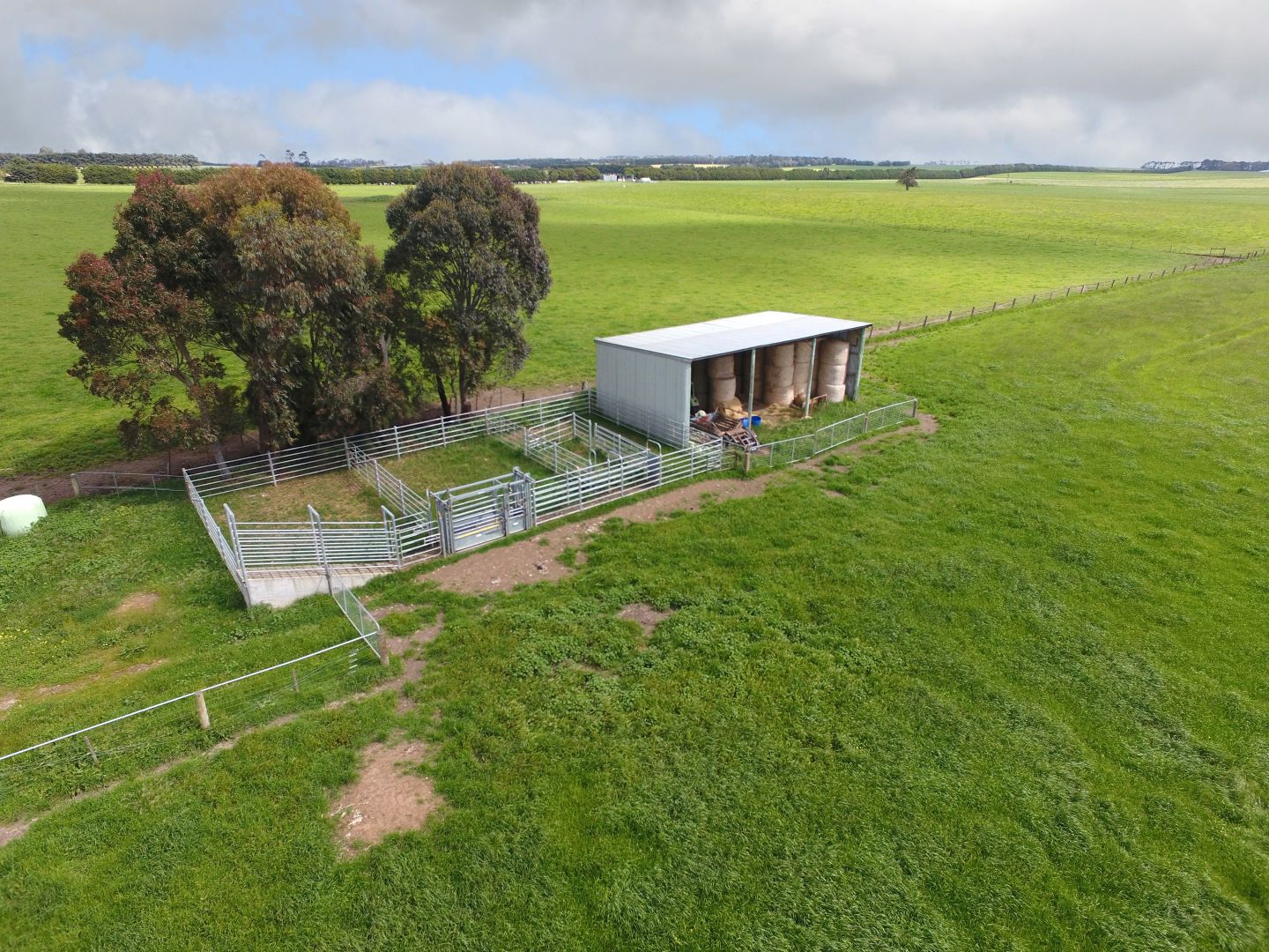 165 Collyers Road, Warncoort VIC 3243, Image 2