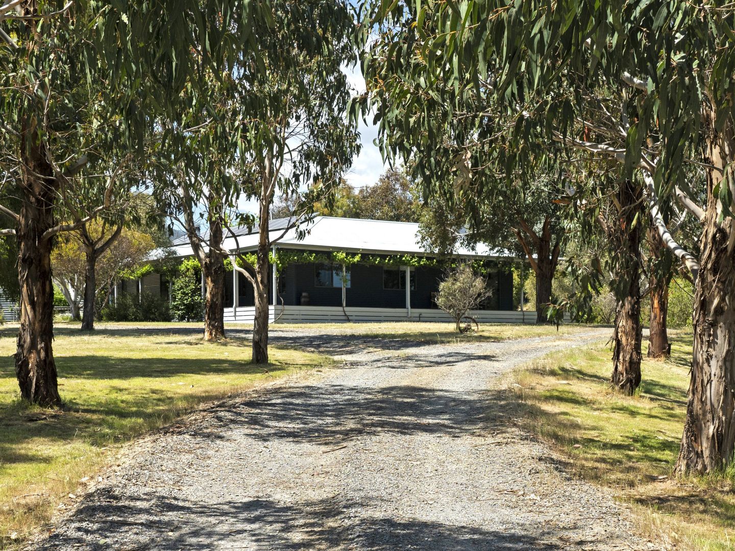 59 Sandy Creek Road, Barjarg VIC 3723, Image 1