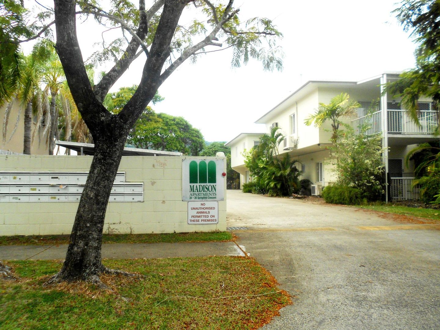 7/2426 Springfield Crescent, Manoora QLD 4870 Apartment For Rent Domain