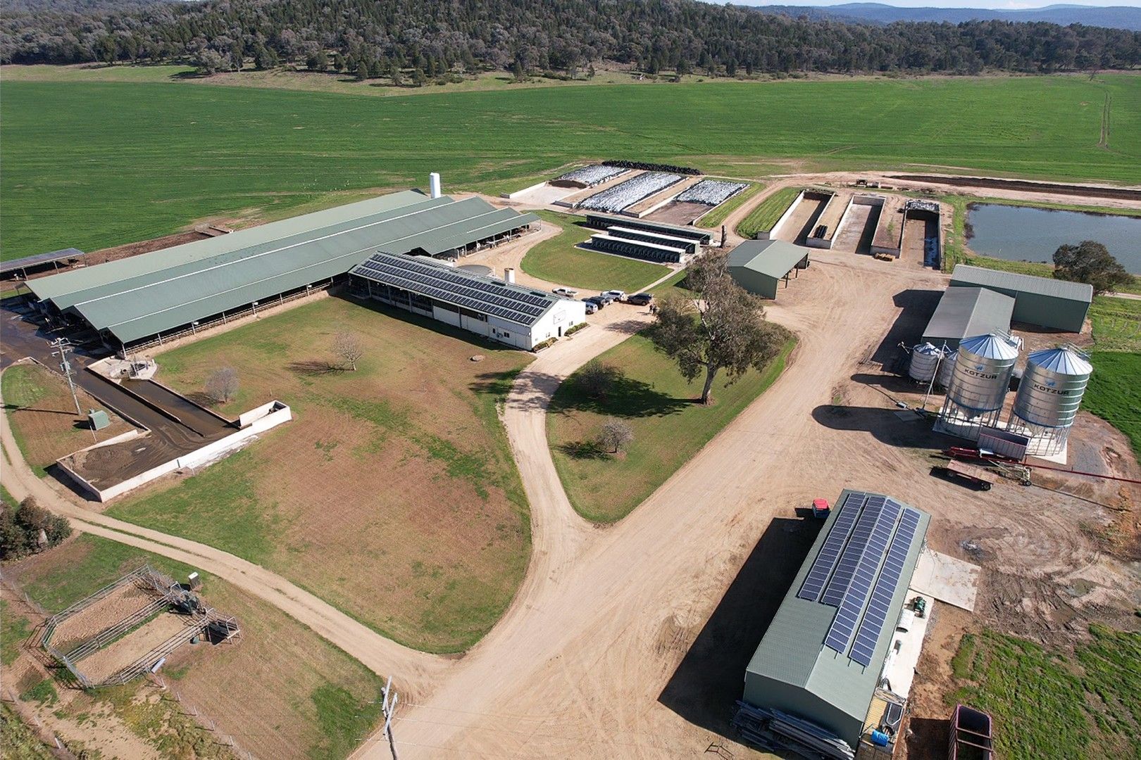 4 bedrooms Rural in Silvermere Holsteins Forbes Road COWRA NSW, 2794