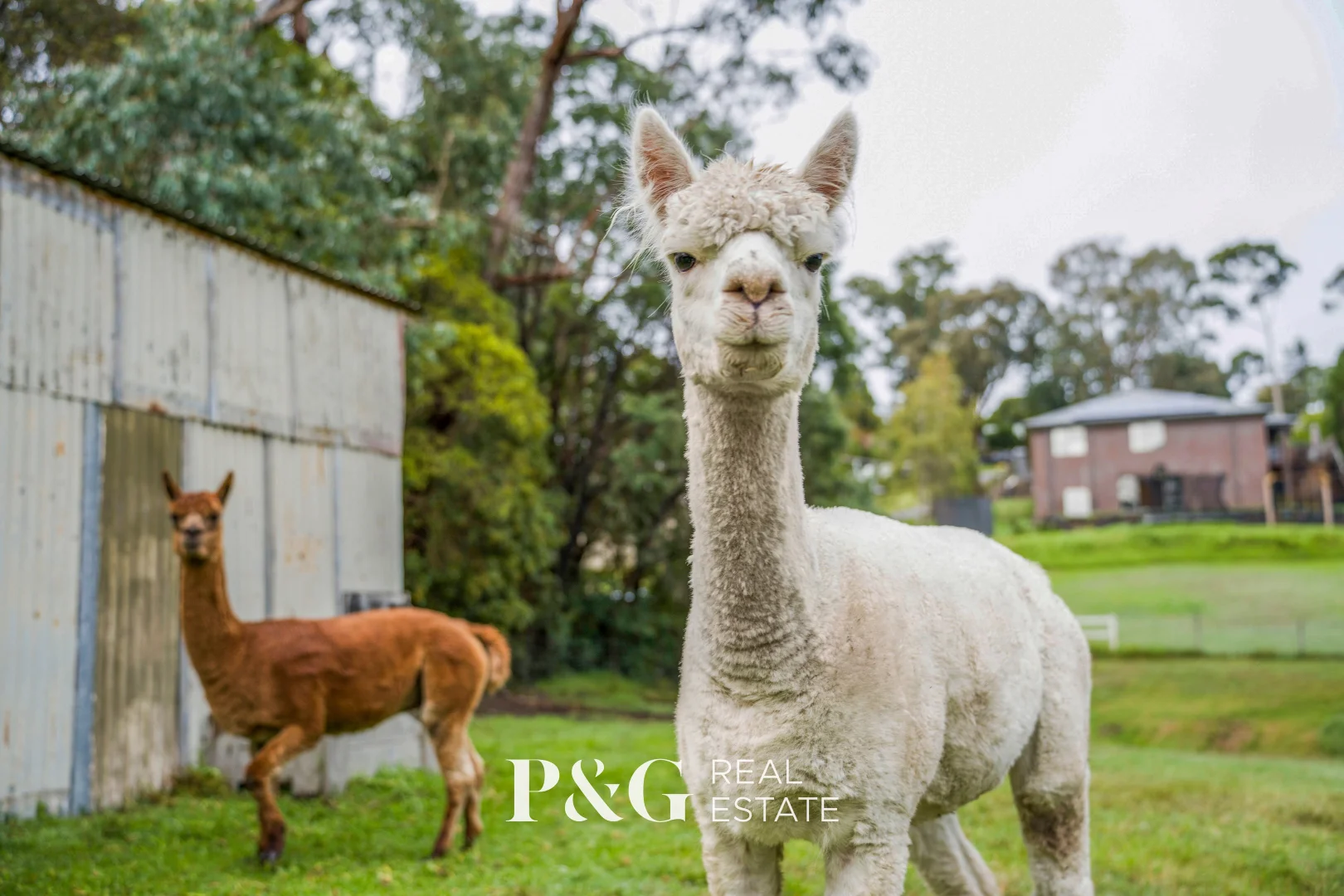 Additional image 24 of 7C Francis Crescent, Mount Evelyn VIC 3796