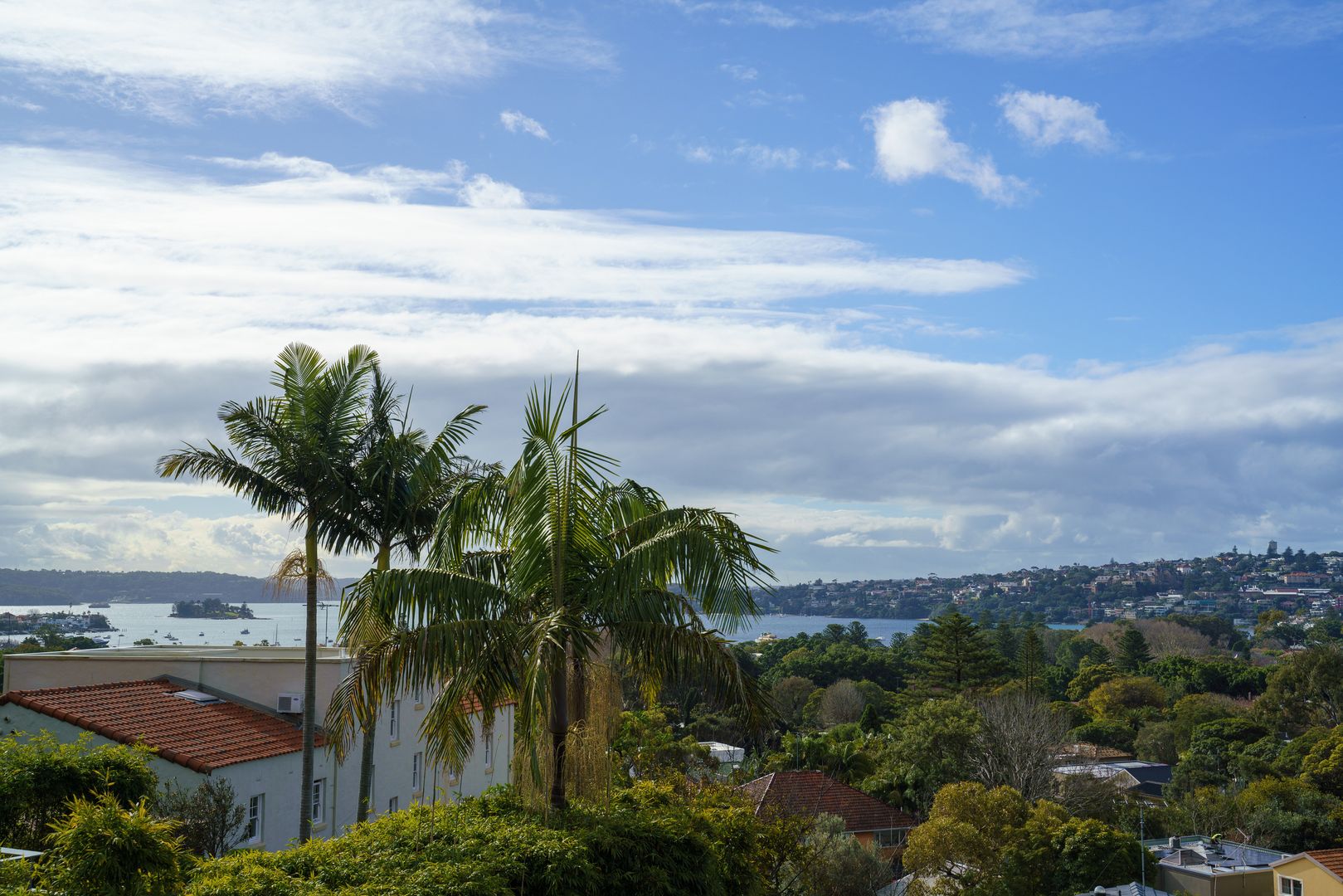 48 Drumalbyn Road, Bellevue Hill NSW 2023, Image 2