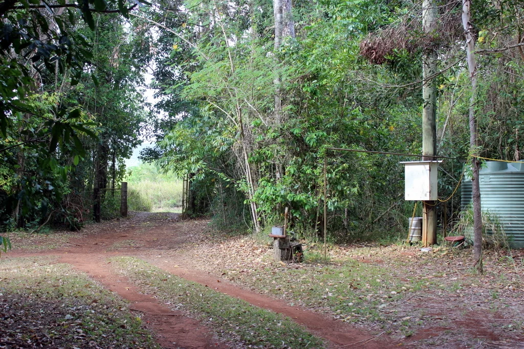 Image 41