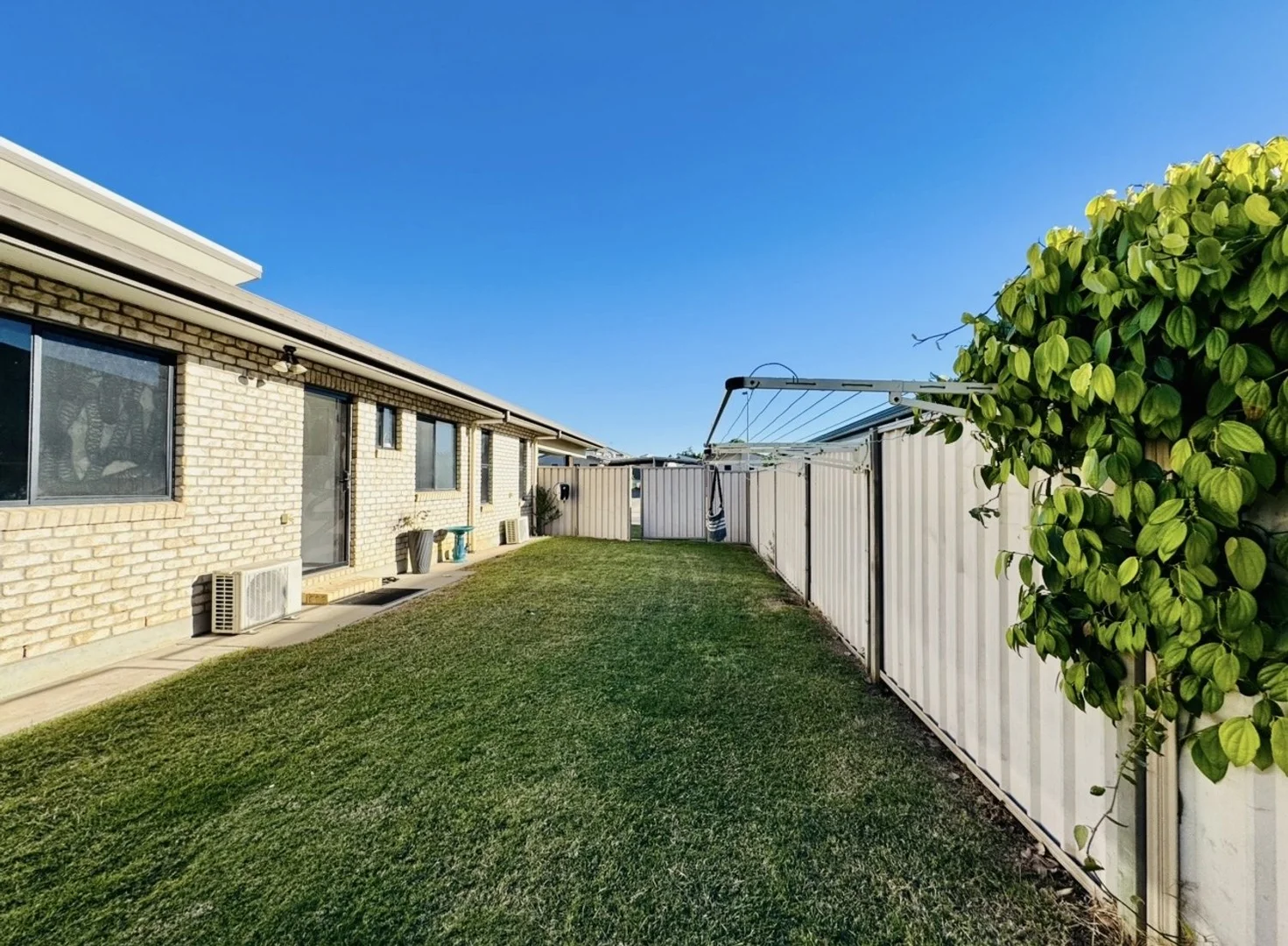 Image 25
