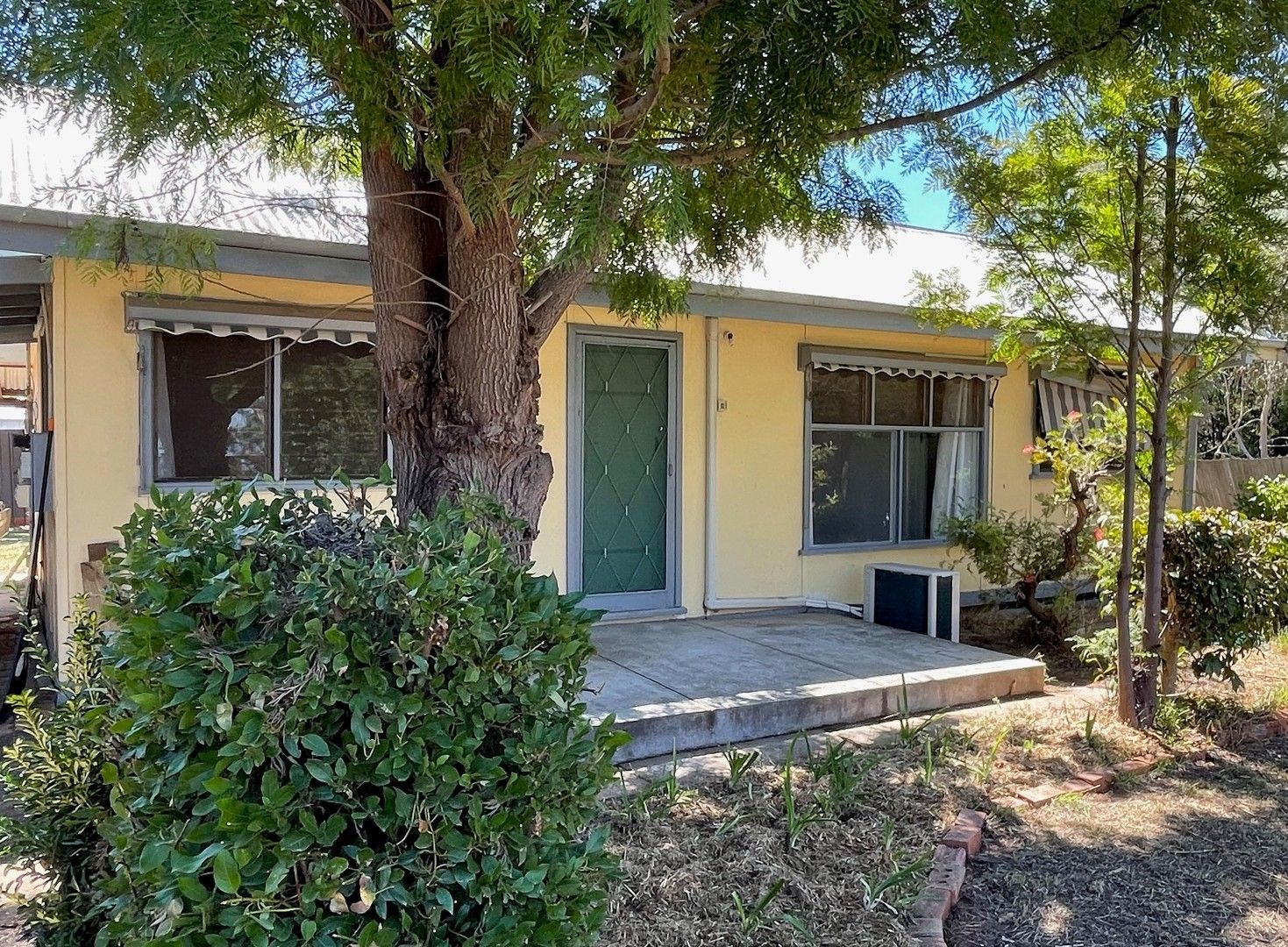 293 Murray Street, Finley NSW 2713 House For Rent Domain