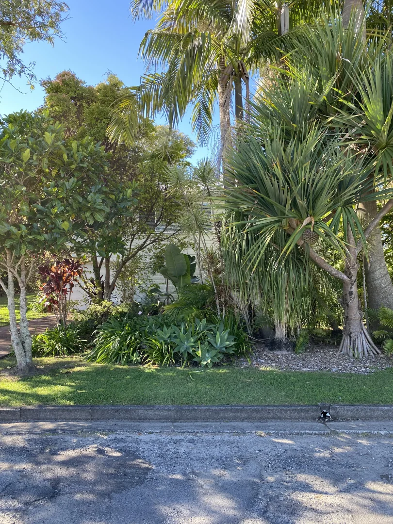 Image 19