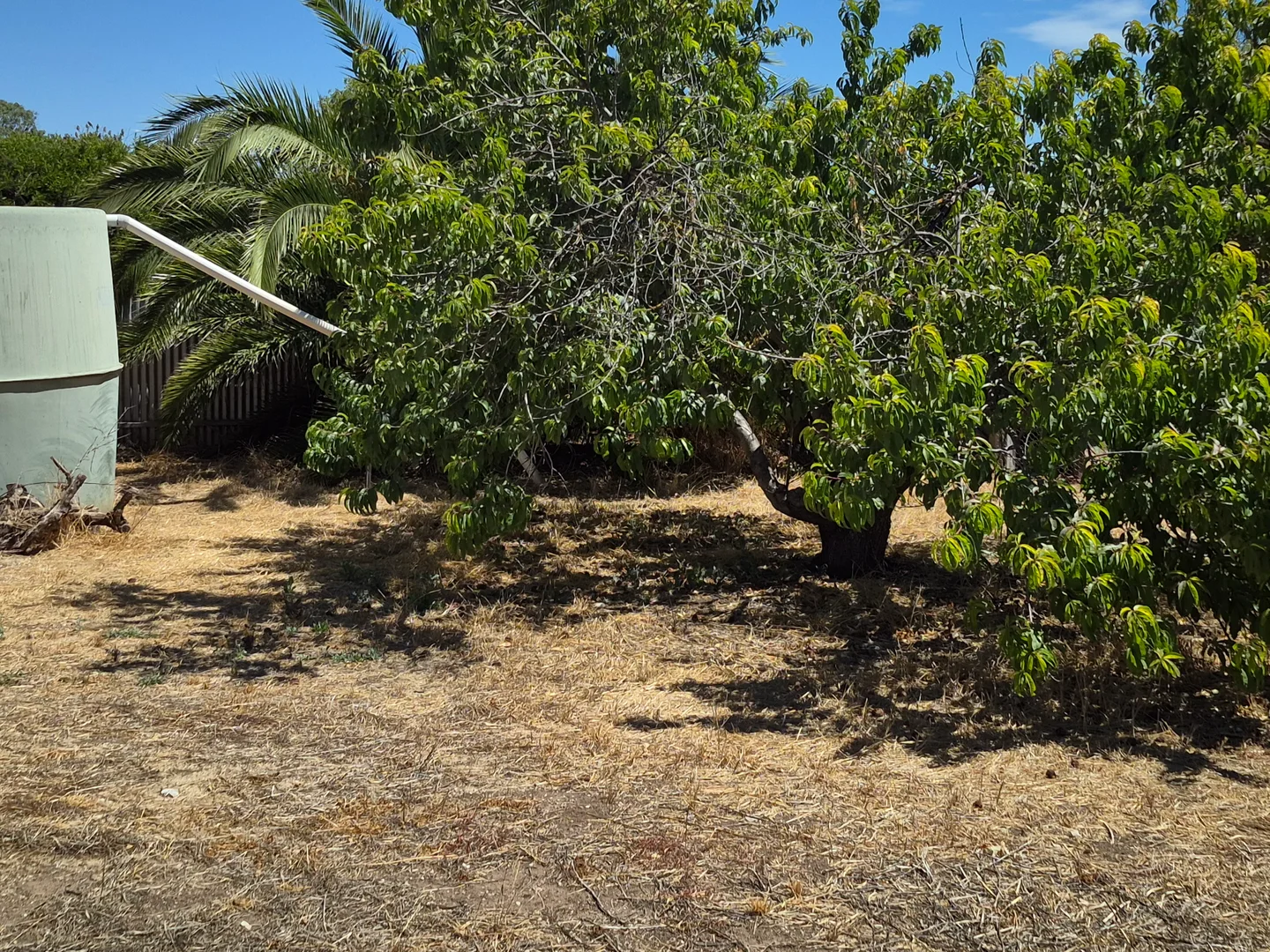 Additional image 6 of 14 Ynoo Avenue, Maitland SA 5573