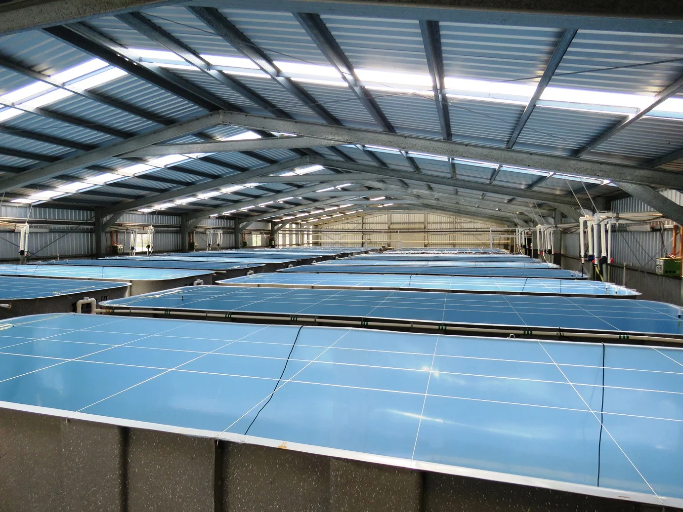 Additional image 24 of Rosedale QLD 4674