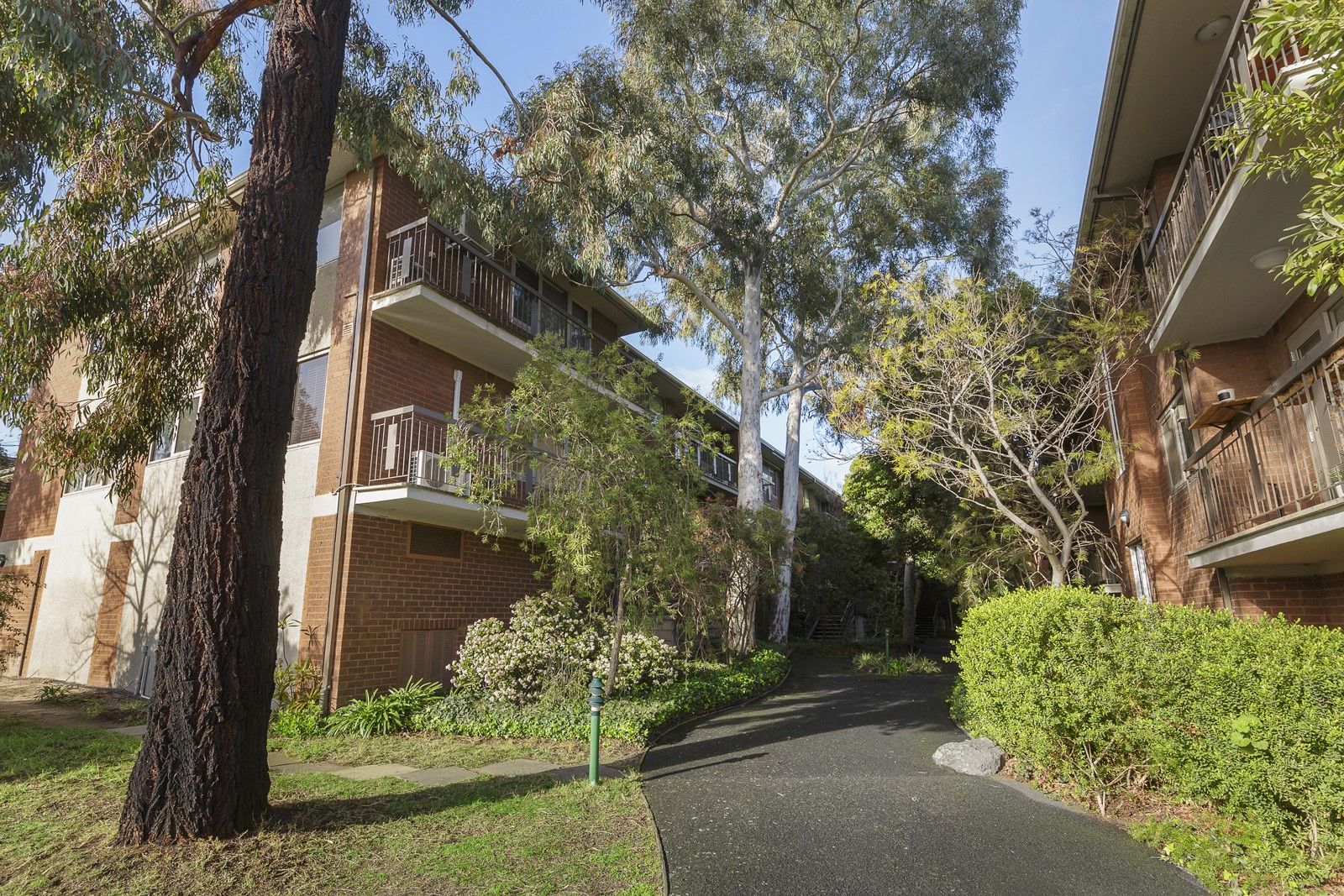 10 88 92 Victoria Road Hawthorn East Vic 3123 Apartment For Rent 380 00 Domain