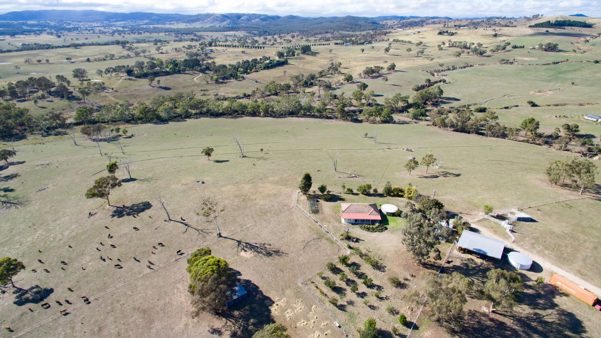 370 Bloom Hill Road, O'Connell NSW 2795, Image 2