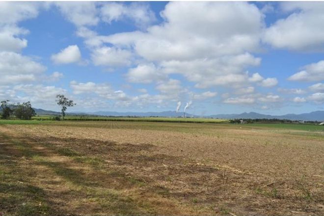 Picture of Lot 6 Tirendi's Road, DEVEREUX CREEK QLD 4753