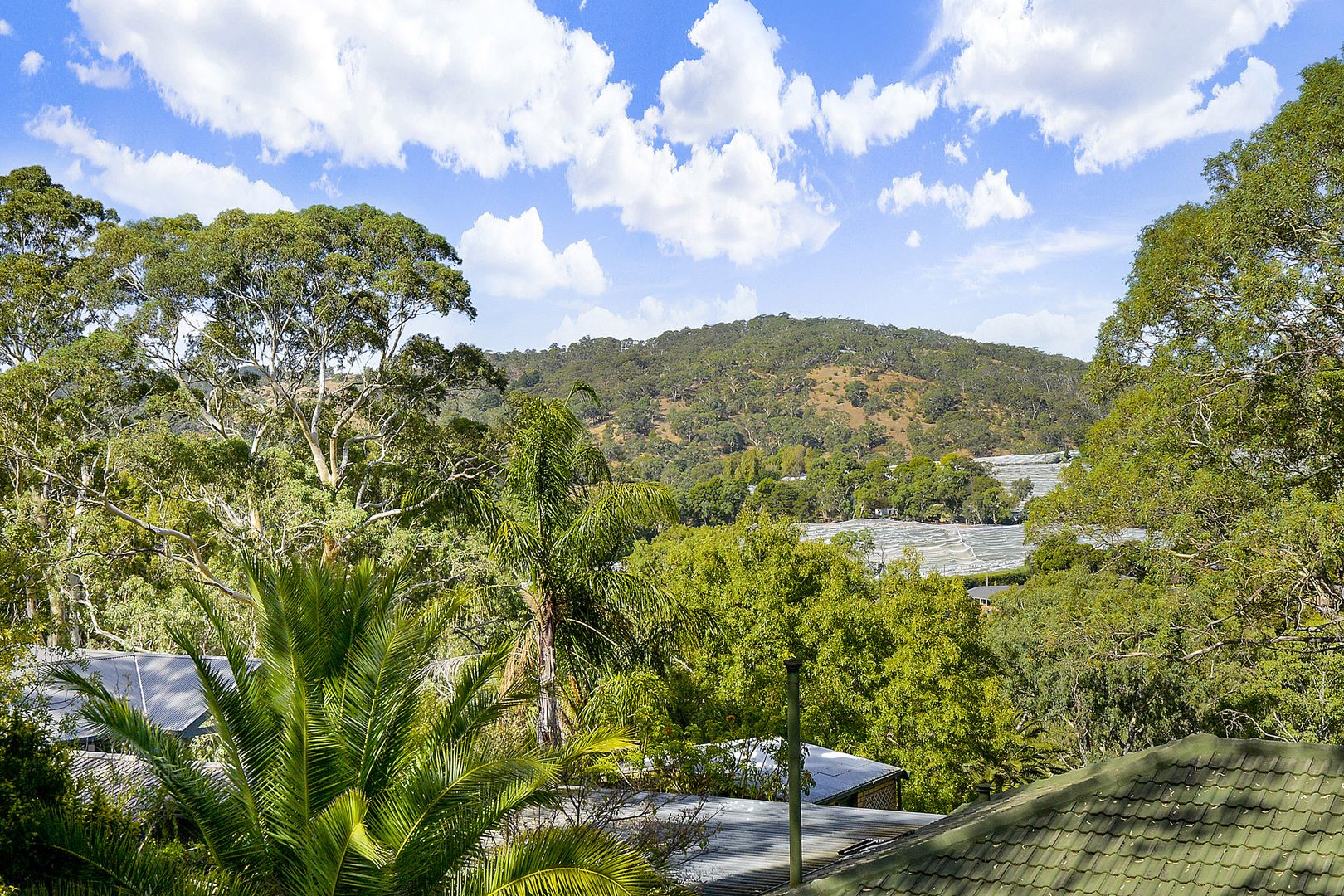 10 Jackson Avenue, Coromandel Valley SA 5051, Image 2