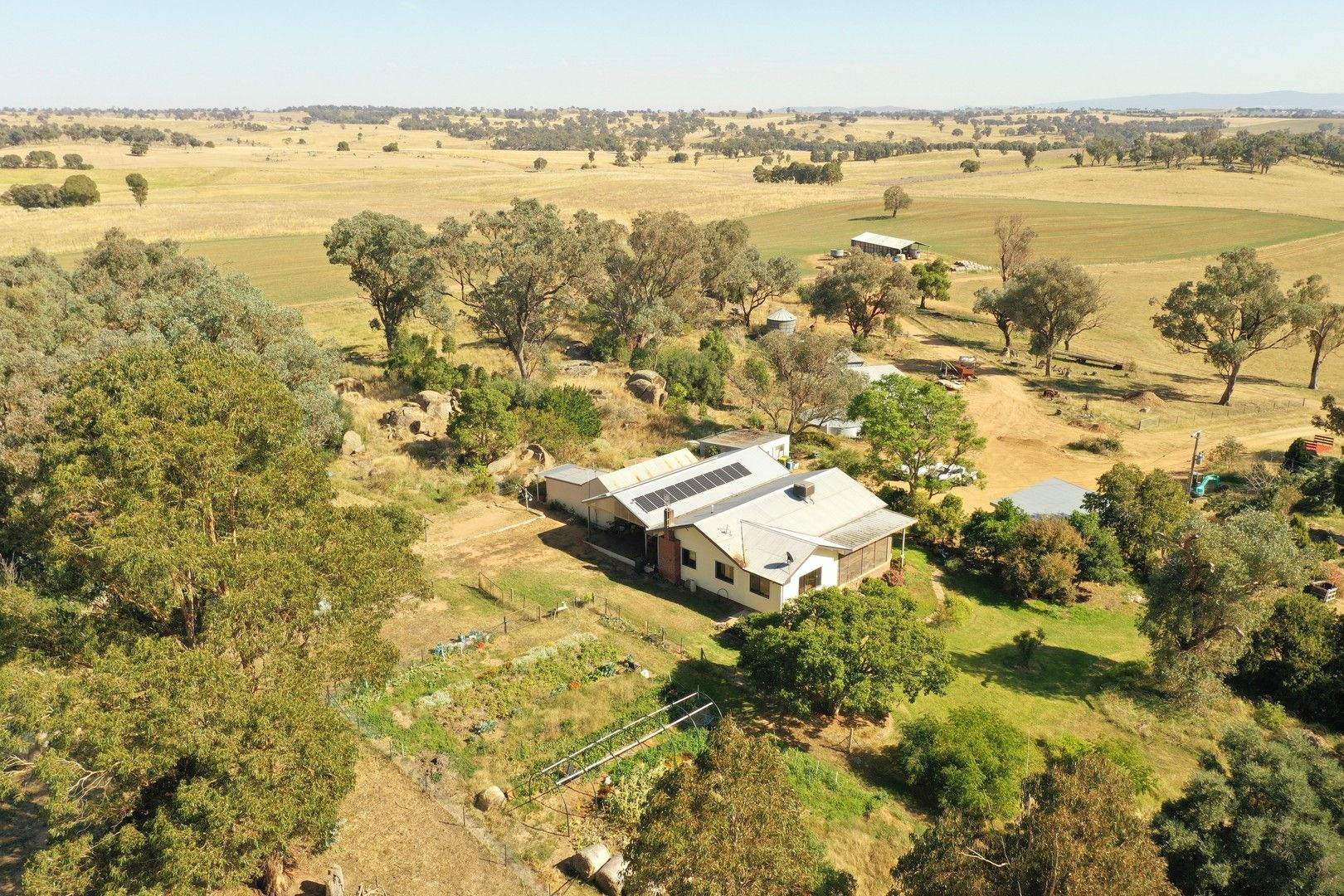 433 Maimuru SS Road Maimuru via, Young NSW 2594, Image 1